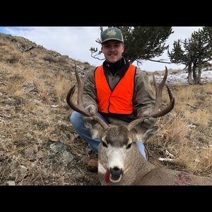 Meet your Posher, Riley